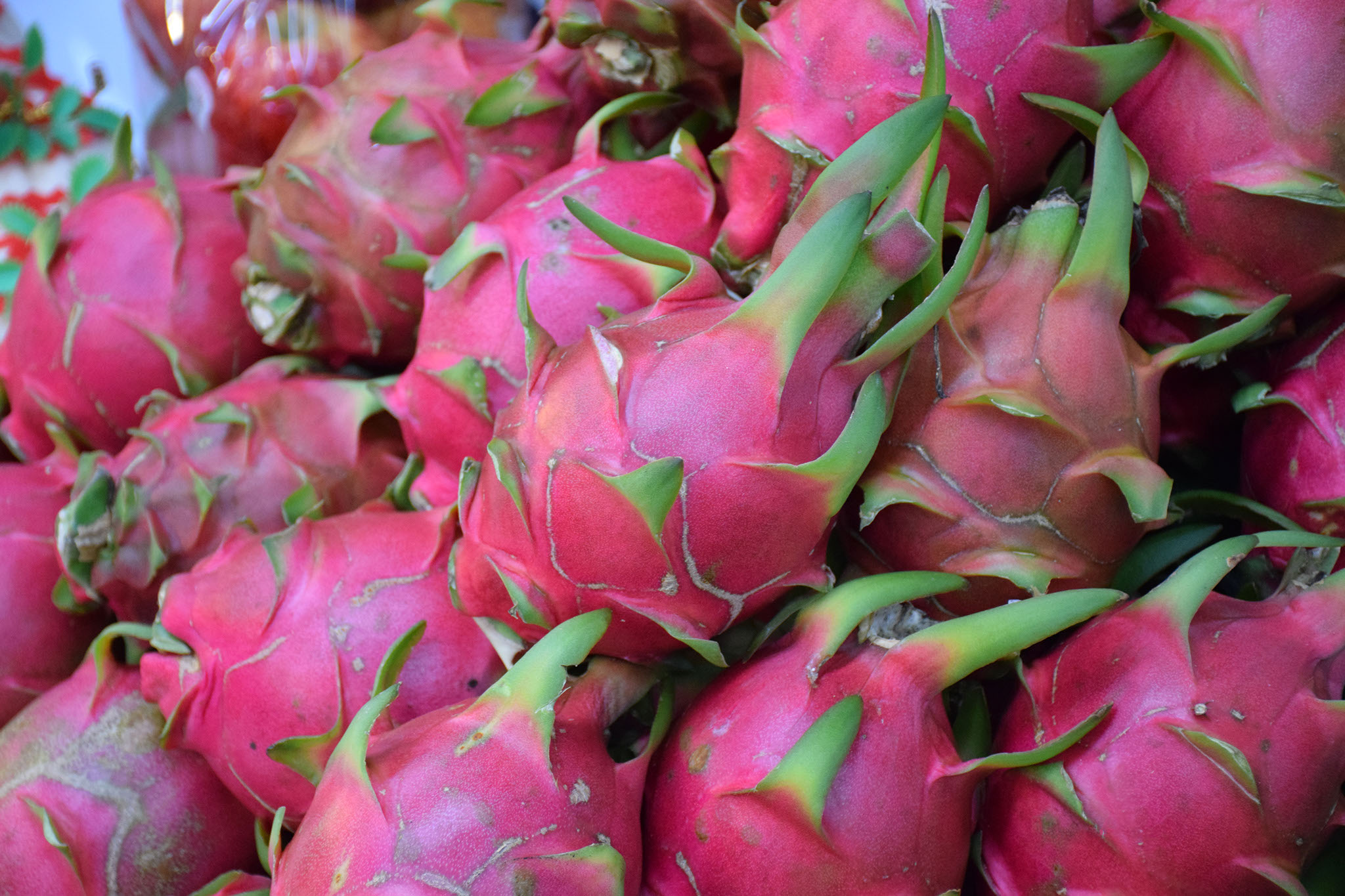 Citroengras Thaise Keuken Catering op bestelling Beste Thaise specialitieten 